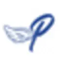 Paint By Numbers Paradise