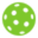 Picklleball Equipment And Gear