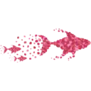 Pink Fishes