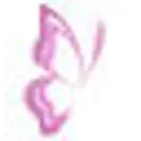 Pink Sapphire Boutique At Dana & Co.