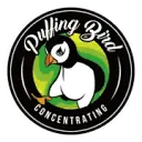 Puffingbird