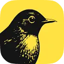 Revealbot REVEALBOT DISCOUNT CODES - 35% OFF {month} {year}