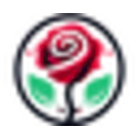 Rose Eternelle La Boutique