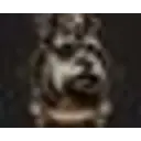 Secret Schnauzer Society