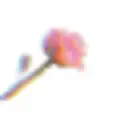 Siren Rose SIREN ROSE DISCOUNT CODES - 35% OFF {month} {year}