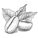 Small-batch-roasting-supplies