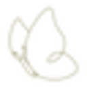 Soreza SOREZA DISCOUNT CODES - 35% OFF {month} {year}