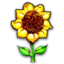 Southern Exposure Seed Exchange S