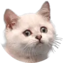 Svmade4angelz SVMADE4ANGELZ DISCOUNT CODES - 35% OFF {month} {year}