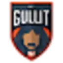 Team Gullit