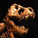 Tellus Science Museum