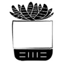 The Little Botanical