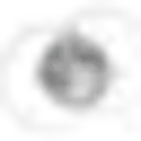 The Rooted Connection