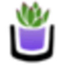 The Succulent Source