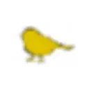 The Yellow Bird