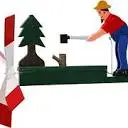 Walston Woodcraft Walston Woodcraft Promo and Discount Codes {month} {year}