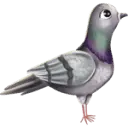 Your Letters From Patrick