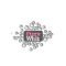 Fizzy Whiz Fizzy Whiz Promo and Discount Codes {month} {year}