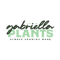Gabriella Plants Gabriella Plants Promo and Discount Codes {month} {year}