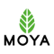 Moya Matcha Moya Matcha Promo and Discount Codes {month} {year}