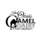 Oasis Camel Dairy Oasis Camel Dairy Promo and Discount Codes {month} {year}
