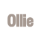 Ollies Ollies Promo and Discount Codes {month} {year}