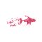 Pink Fishes Pink Fishes Promo and Discount Codes {month} {year}